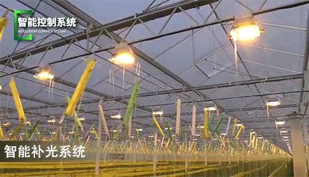 俯瞰珠海全景最佳地点,珠海这个地方好吗