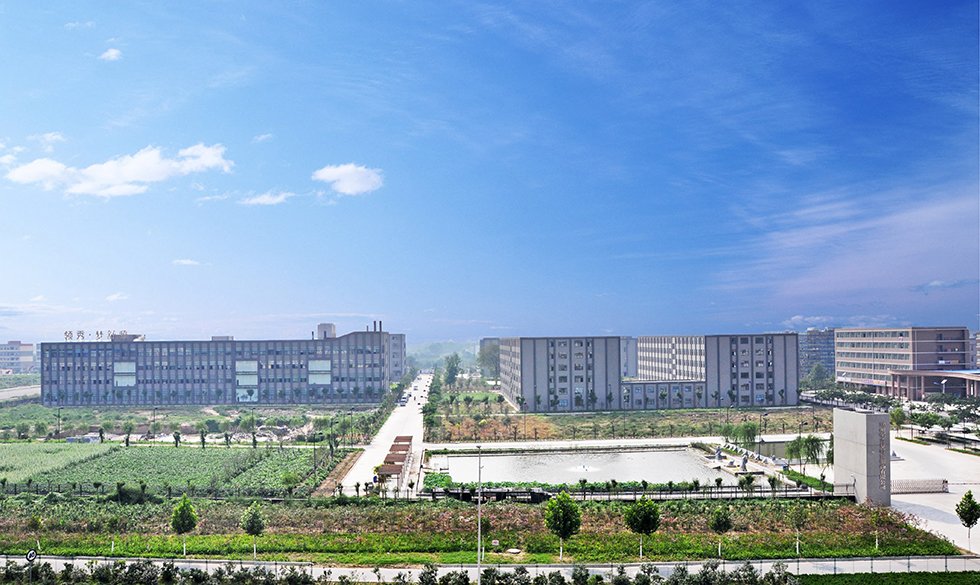 梦舒雅最新款女裤,梦舒雅2022新款八分裤