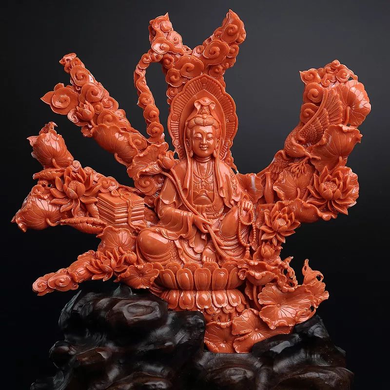 买珊瑚，看这篇就足够了~