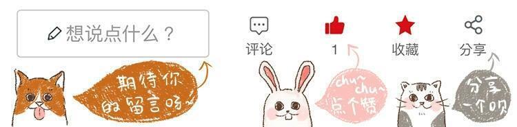 爱掉猫毛怎么办,如何彻底解决猫咪掉毛