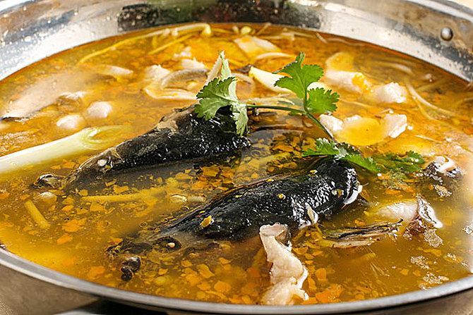 东方湿地之都因什么而得名,东方湿地魅力之都