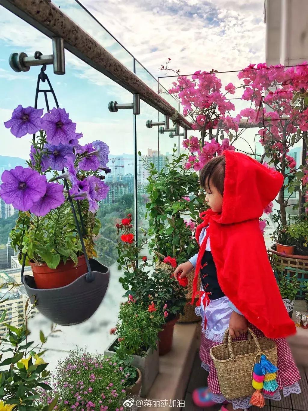 老佛爷的遗产真的由猫继承,老佛爷的所有家产最后留给了猫