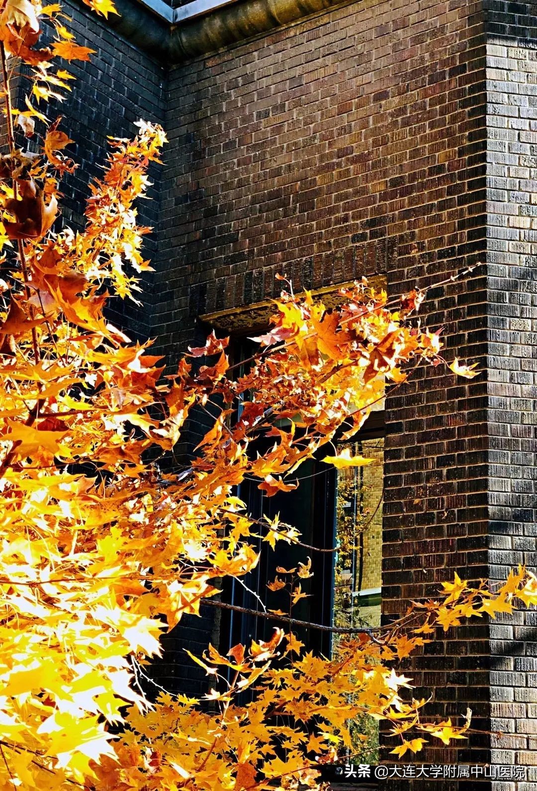 【博古通今】小编带你“逛”医院②