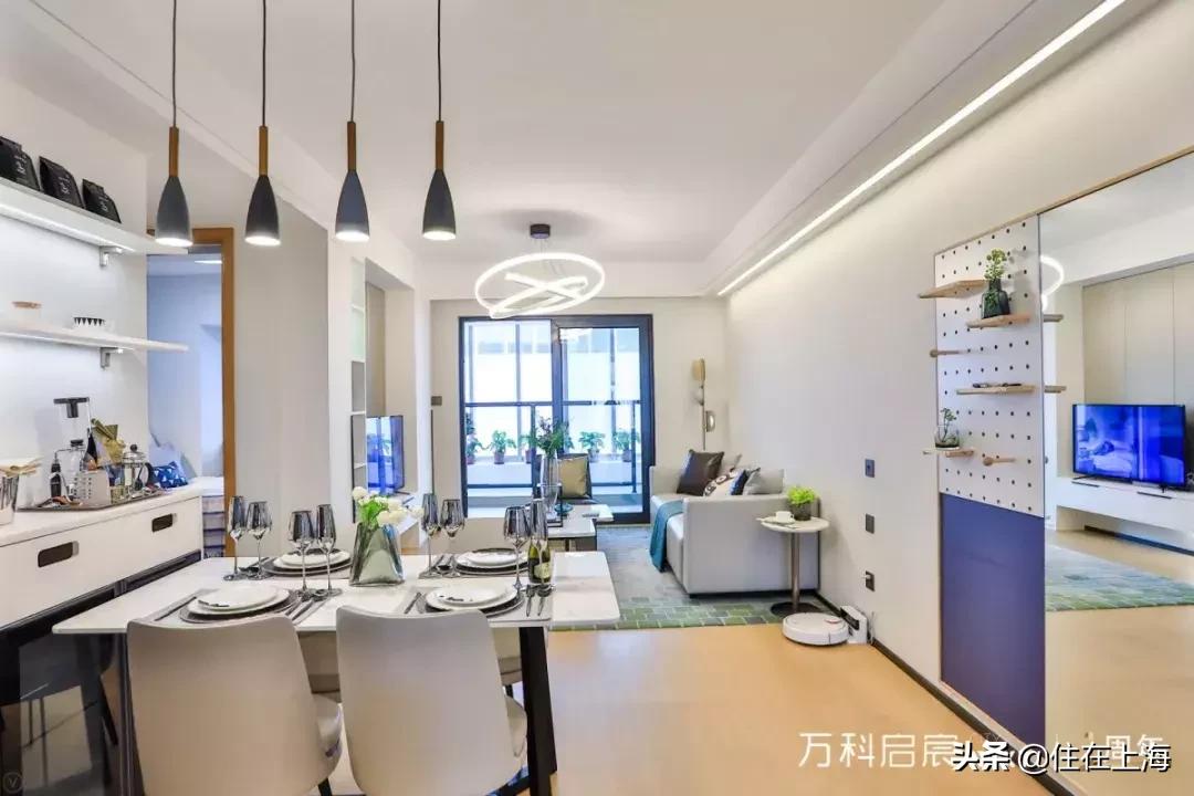 去年买房今年入住,上外附校附近楼盘