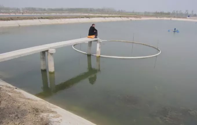 黄颡鱼出现烂身腐皮的原因是什么,水产养殖鱼出现烂身是什么原因