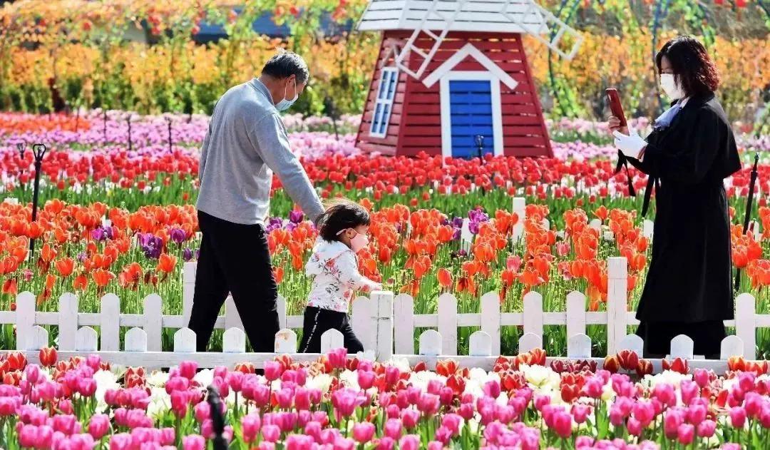 昆明是人口净流入的城市吗,昆明城市人口全国城市排名
