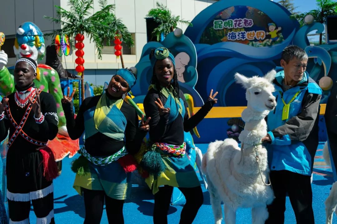 海花岛海洋乐园萌宠表演场,海花岛海洋乐园萌宠剧场