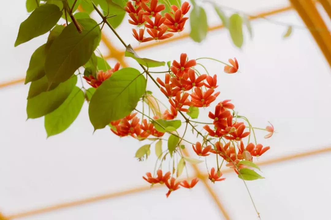 深圳游乐园排名前十名,深圳室内游乐园