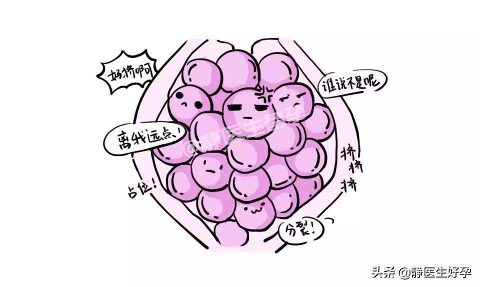 静医生备孕：“怪胎”还是“鬼胎”？葡萄胎了解一下