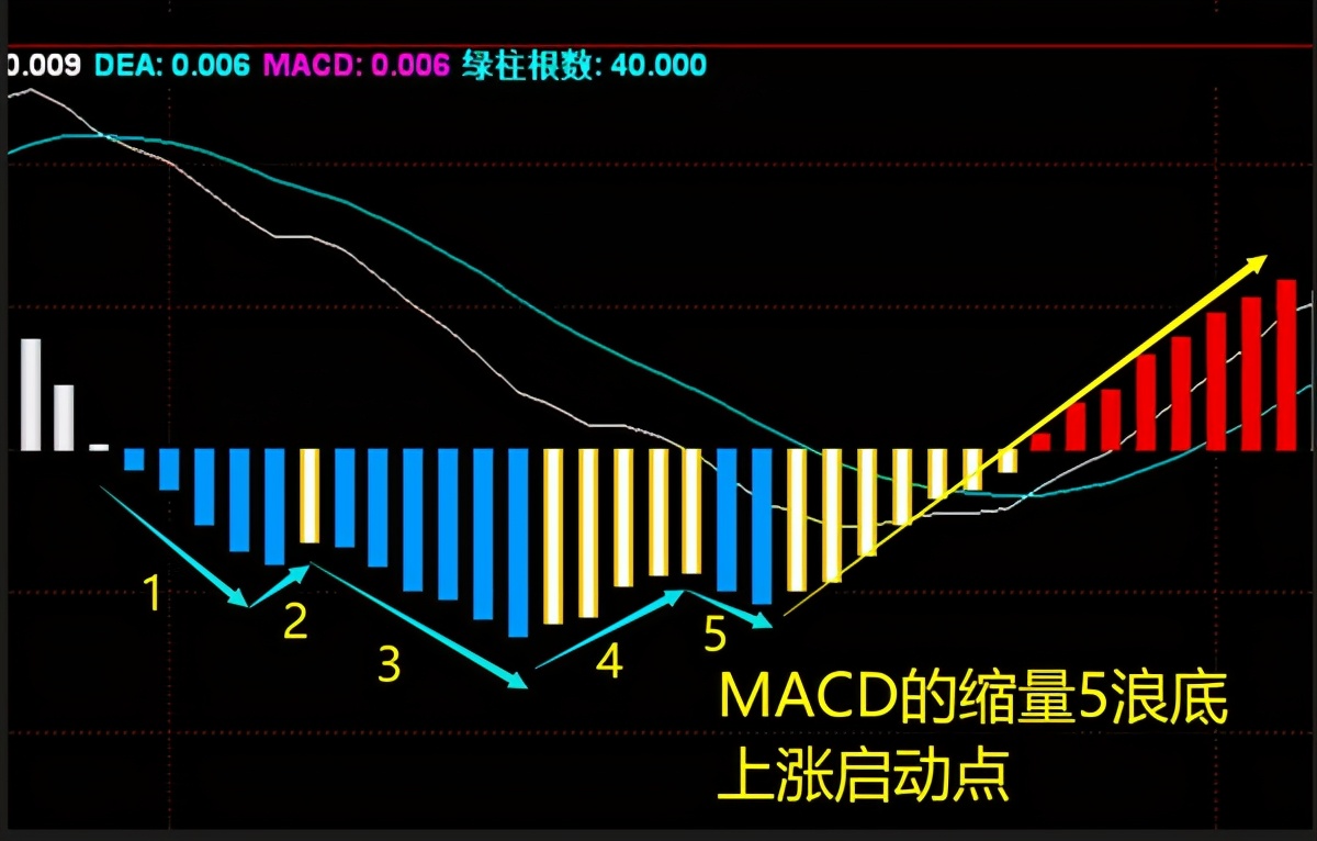 假期充电计划百科全书,假期“充电”指南