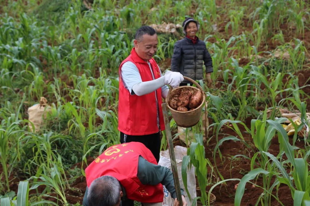 我为群众办实事法院篇,我为群众办实事工作计划法院篇