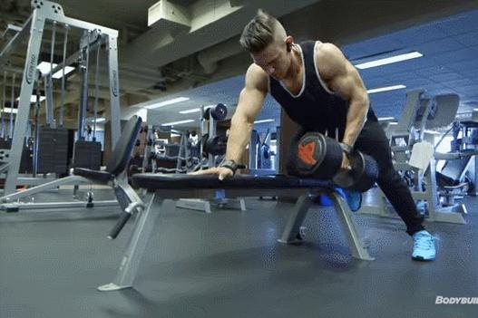 什么是脂肪食物什么是蛋白质,蛋白质脂肪碳水化合物指哪些东西