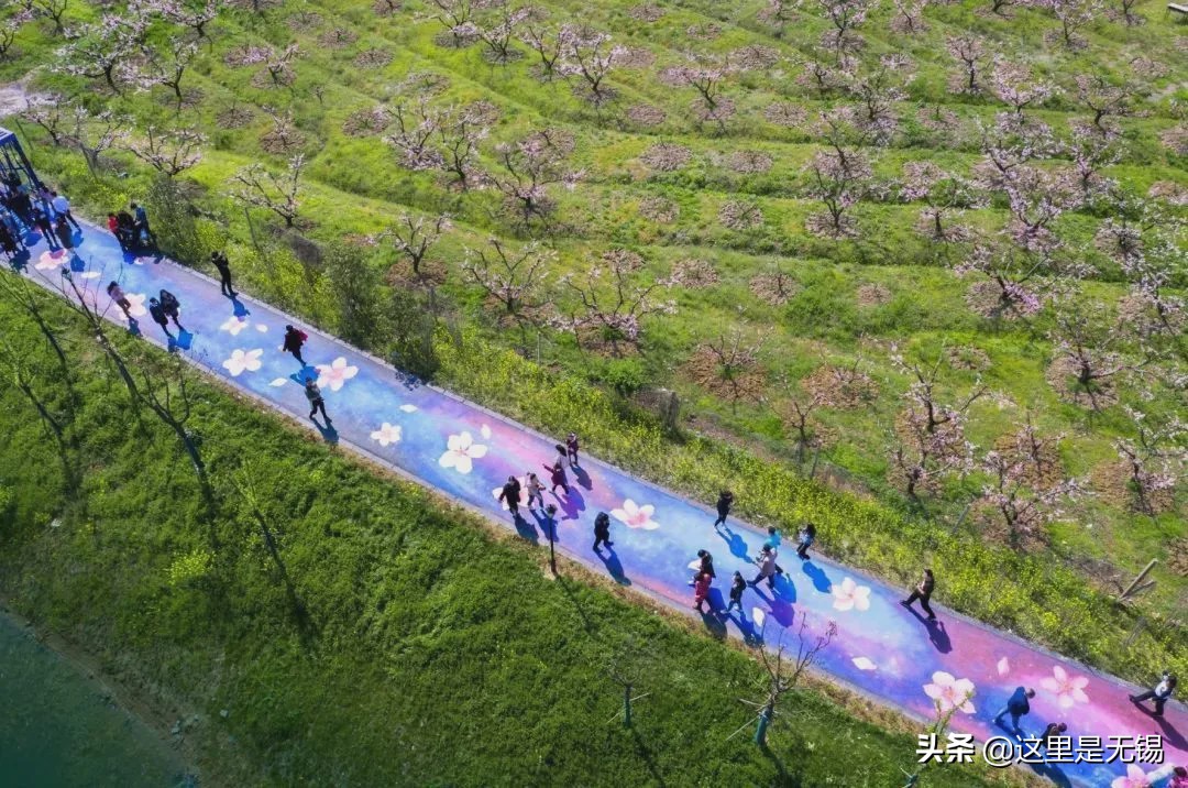 无锡最美网红步道坡度,无锡网红步道有哪些