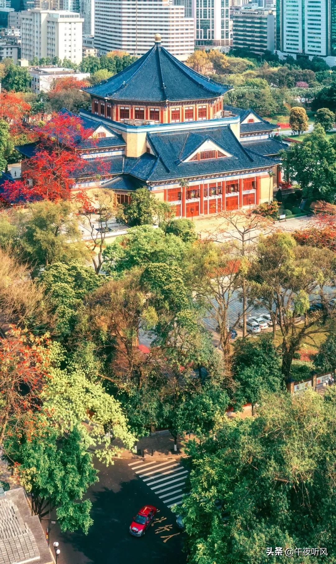 什么是麻精药品定义,什么是桃子女孩