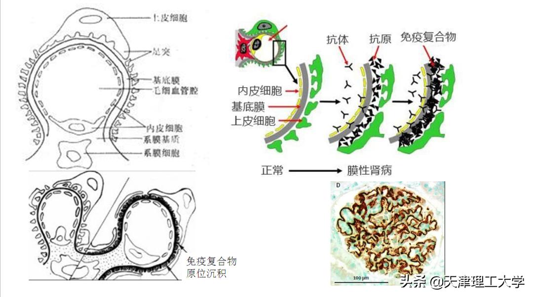 鍖栧鍖栧伐瀛﹂櫌闄㈣澶у叏,鍖栧鍖栧伐瀛﹂櫌瀛﹂