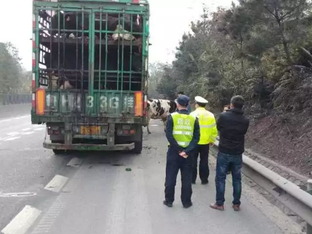 甘肃8岁女孩受害事件,甘肃受伤女孩事件