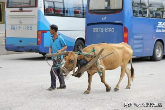 朝鲜见闻2005,朝鲜旅游物价多少