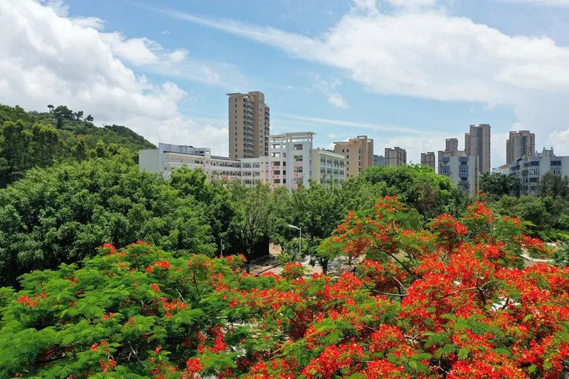 漳州港哪个学校最好,漳州最美校园