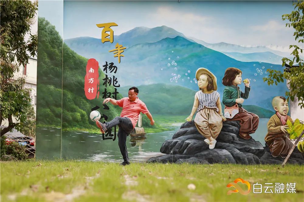 白云这个村,为百年杨桃树建新“家”,占地近9000平方米