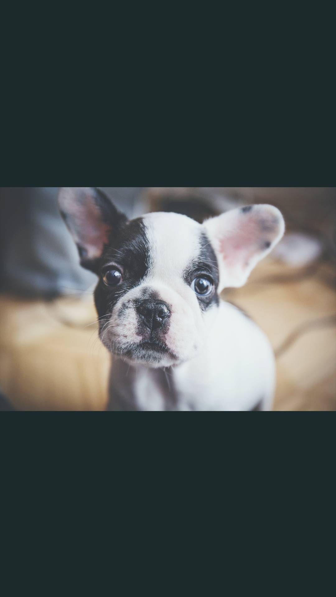 手机高清壁纸原图自取好运,原图壁纸经典手机壁纸分享