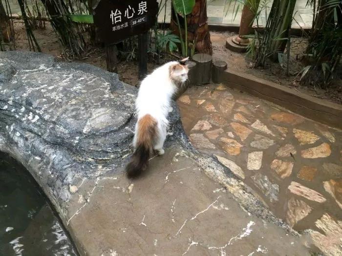 天津性价比高的洗浴中心,天津最好的温泉洗浴中心