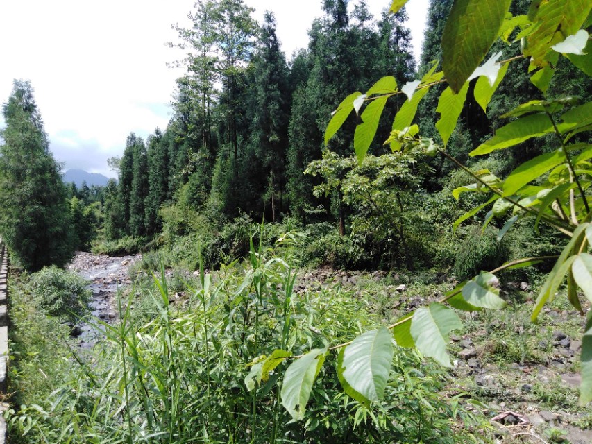 峨眉半山七里坪国际度假区风景,峨眉半山七里坪国际度假区天气