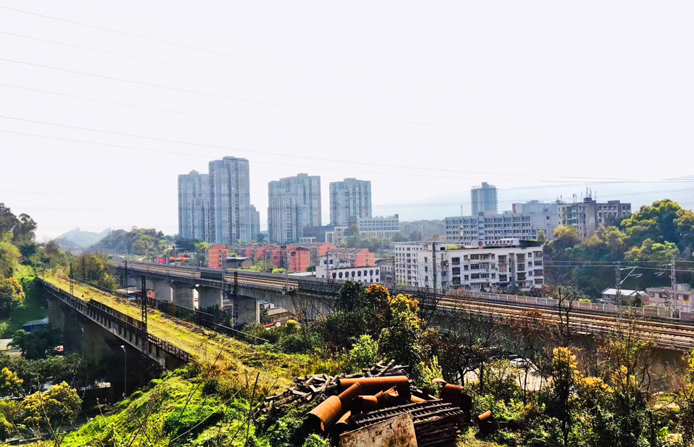 重庆大渡口区辖多少乡镇,重庆大渡口区属于哪个镇