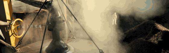 白酒五粮液是什么香味,五粮液的五种粮食口感