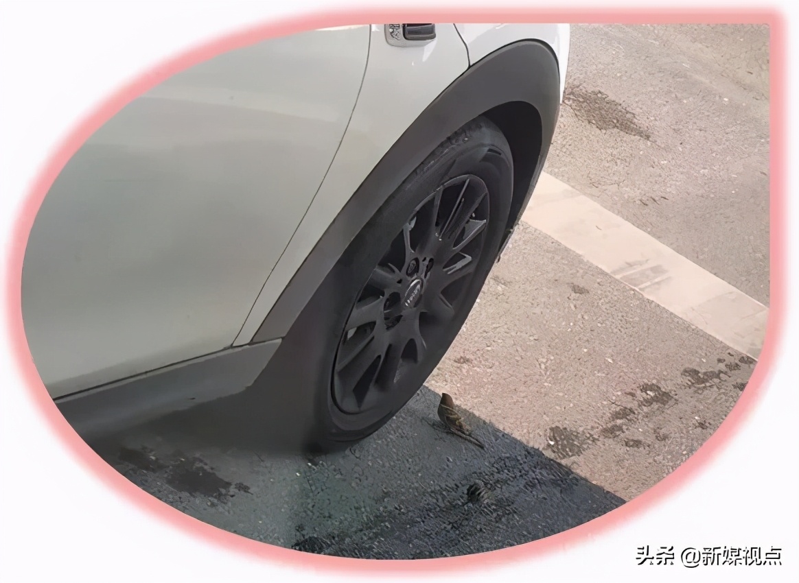 相识应为有缘人，不信春风唤不回