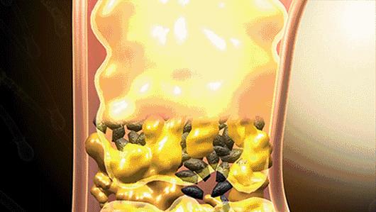 专治大油头的洗发露,拿什么洗发水拯救你的油头