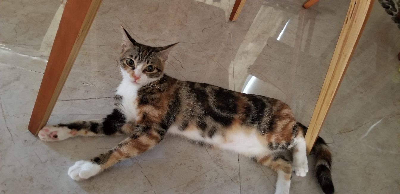 omg怀胎,omg生孩子了吗