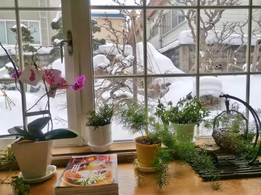 中国雪乡vs日本北海道雪景,日本北海道和东部雪乡哪个好