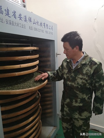 信阳茶叶合作社大全,信阳毛尖茶叶合作社