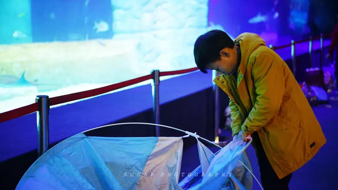 「亲子游」与万千海洋动物一起，夜宿探索极地海洋之美