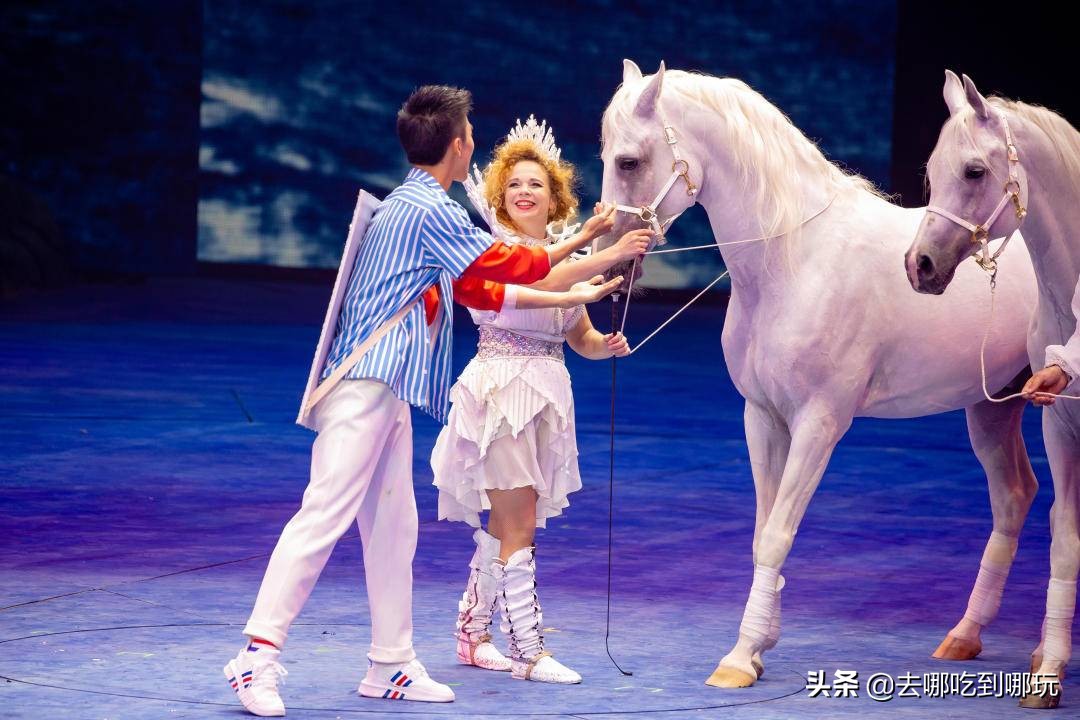 249抢珠海长隆剧院《龙秀》普通座（平日）+石博园全新视觉盛宴