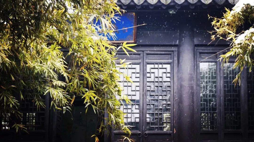 从未逃离,从未逃离过原生家庭