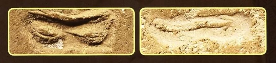 「鉴变」2494普陀耐大模第五袈裟线模