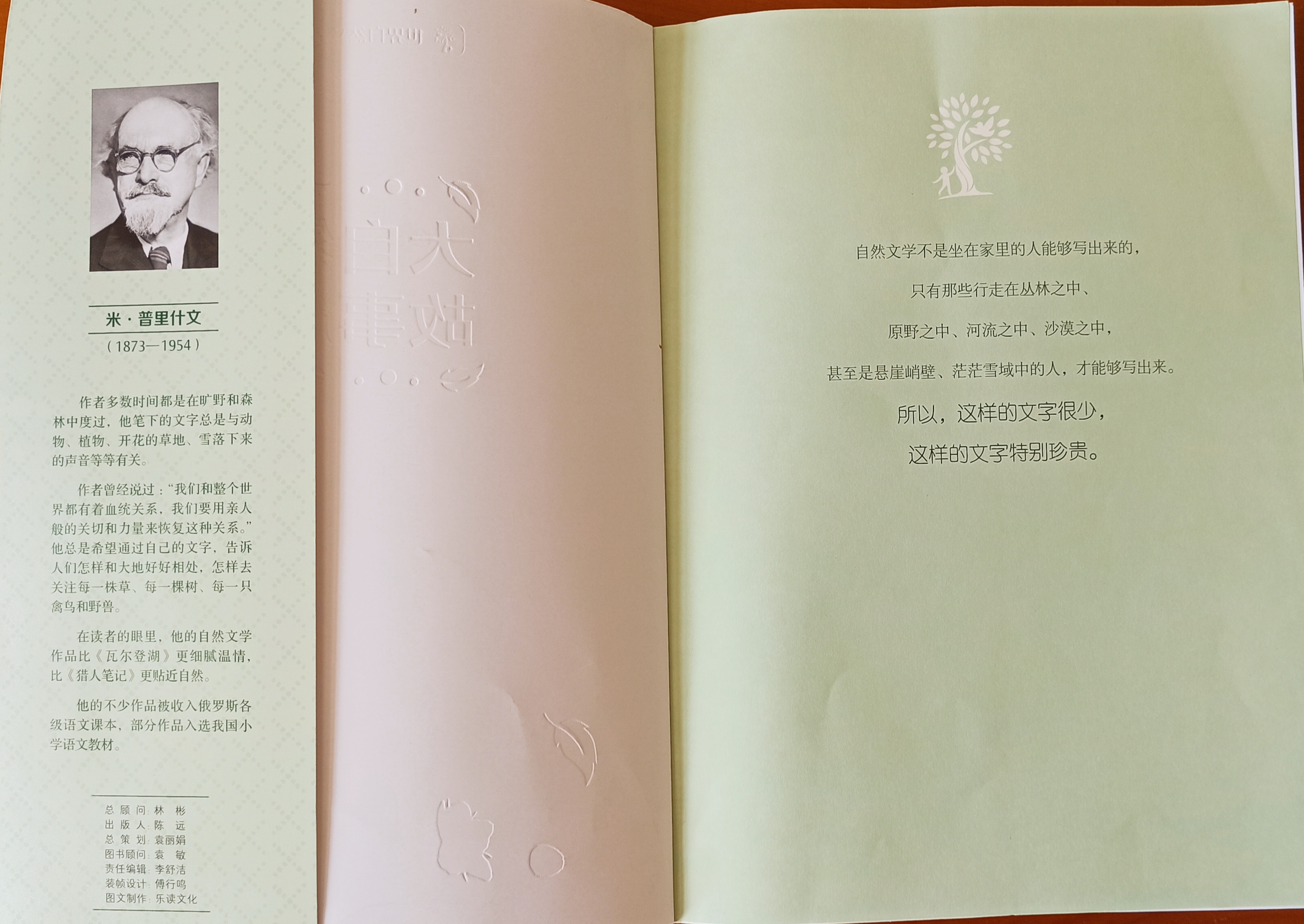 月光下的刺猬，那是儿时的纯真