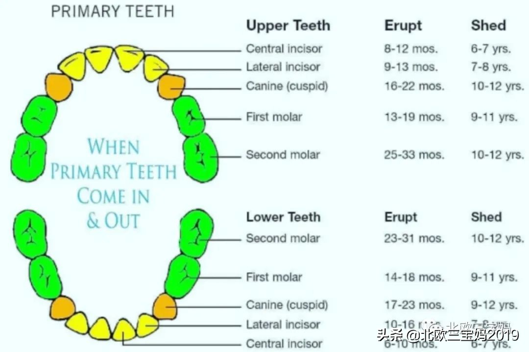 5岁小孩打全麻治蛀牙有影响吗,3岁孩子全麻风险大吗