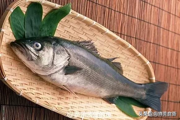 32种经典寿司做法视频,寿司常用的鱼