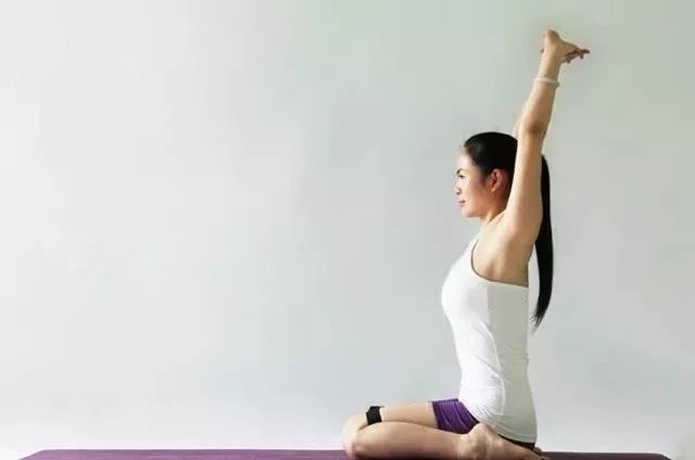 瑜伽22个经典欣赏,瑜伽28个经典动作跟练