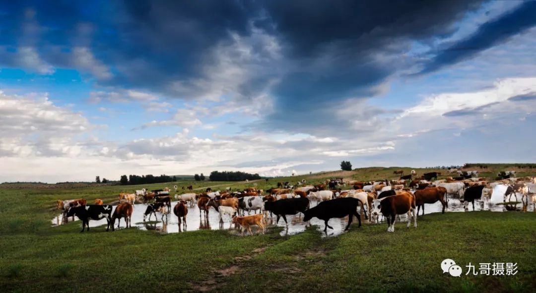大美坝上草原全景,大美坝上风光系列之一