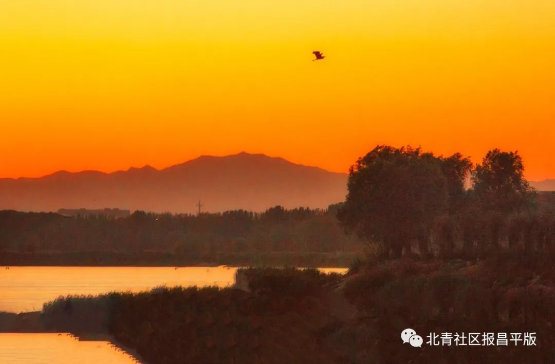 处暑将至暑渐消凉意至养生需讲究,处暑的节气特点处暑养生常识