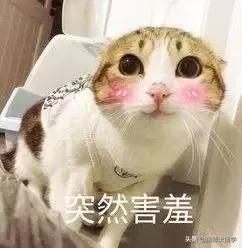 常见英美俚语,美式英语和英式英语的俚语区别