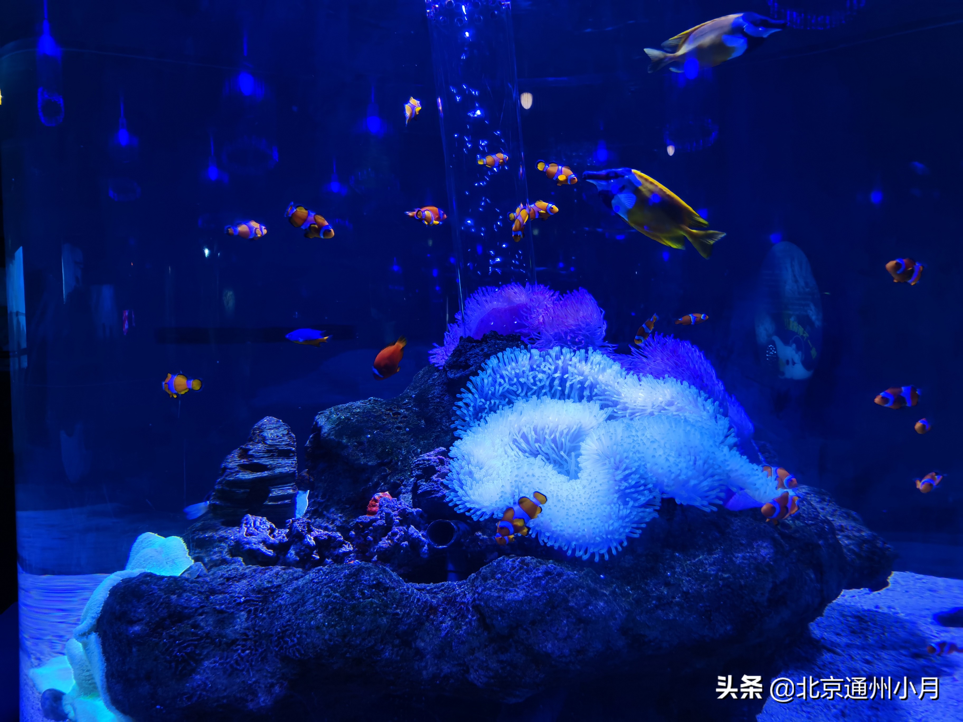 北京海底世界游览时间表,北京海底世界值得玩