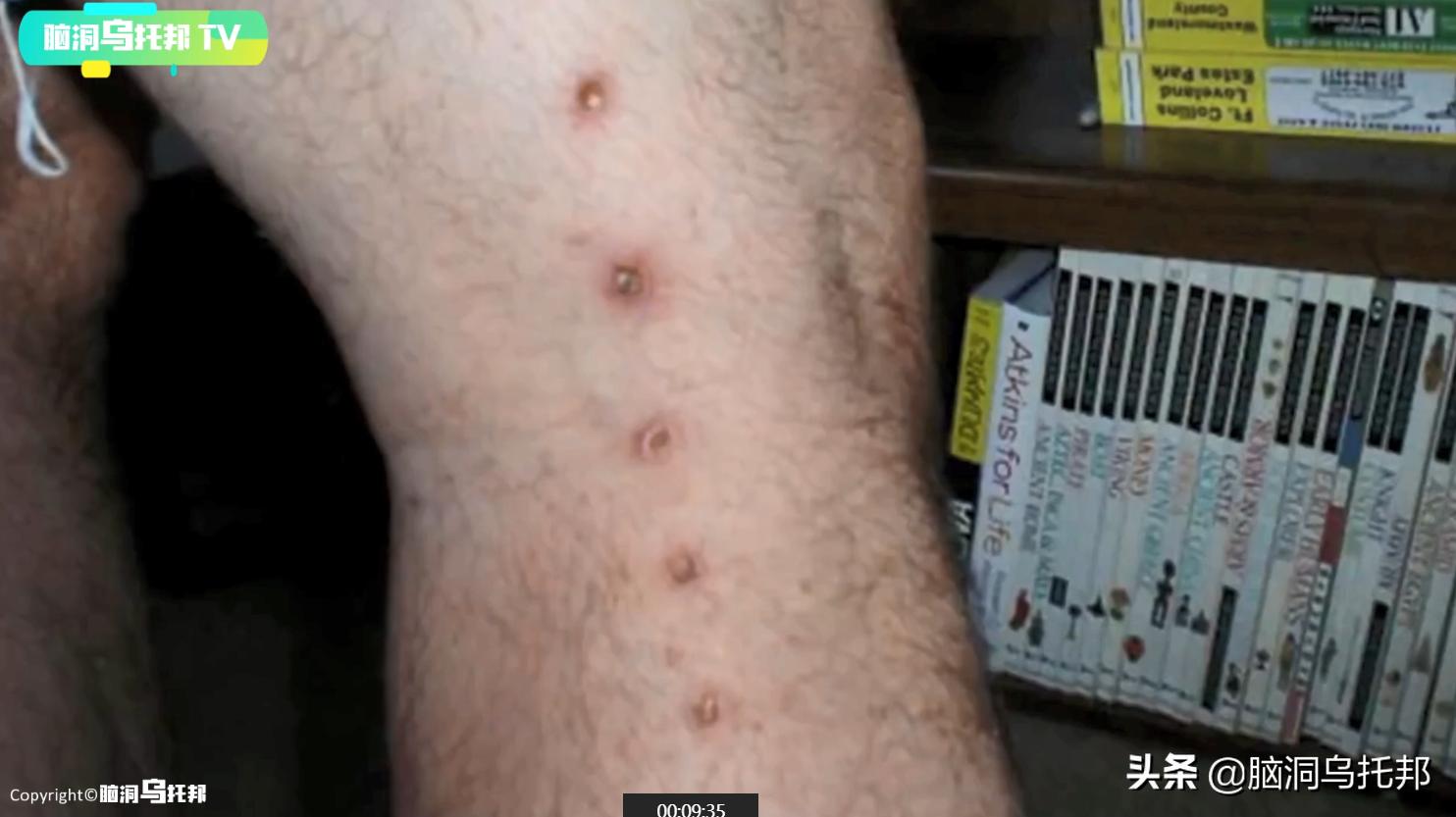 世界上有哪些外星人目击事件,最可信的外星人接触事件