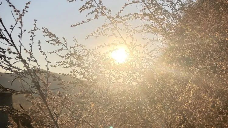 早安营口2019年5月16日,早安营口最新版