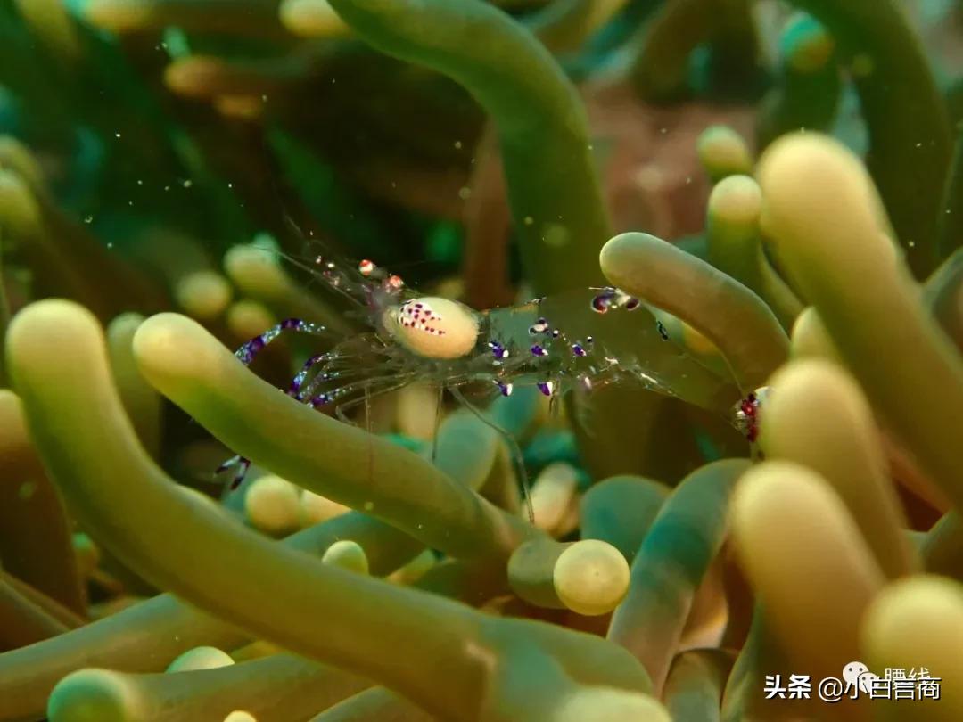 在腾讯工作10年,在腾讯工作3年