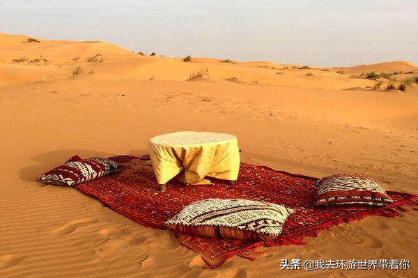 霸气的外貌下有个温柔的内心,霸气的背后隐藏着温柔和可爱