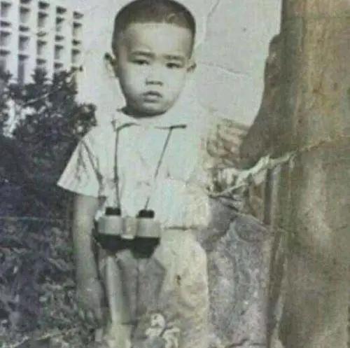 被误认为香港明星的内地明星,被误认为是香港人的10位内地明星